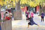 智海佛鉴禅师《释氏稽古略》