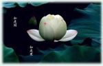 无趣老人《释氏稽古略续集》