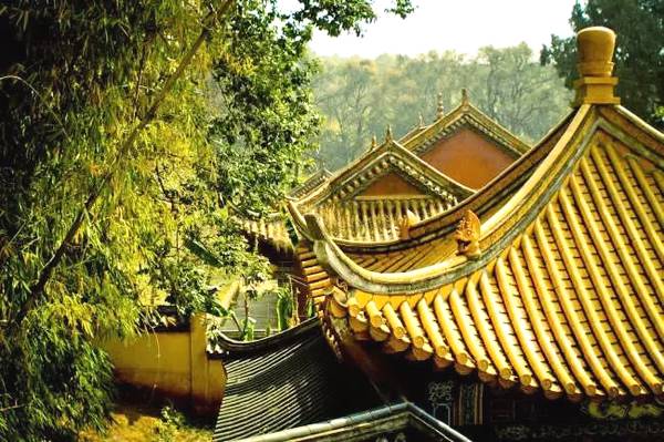 1619051847139288.jpg 76.jpg