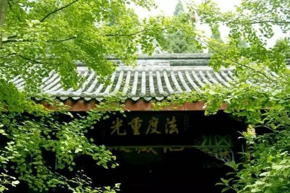 1619052562901280.jpg 82.jpg