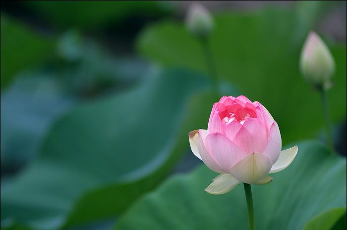 1619052600875716.jpg 微信图片_20201013115223.jpg