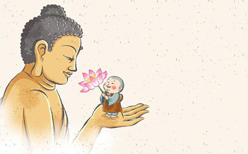 1619052879253672.jpg 88.jpg