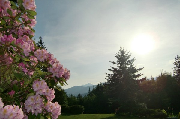 1620263714205389.jpg 52.jpg