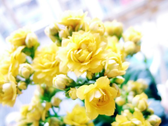 1620264056777067.jpg 64.jpg