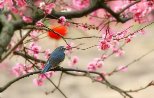 1620264480761443.jpg 73.jpg