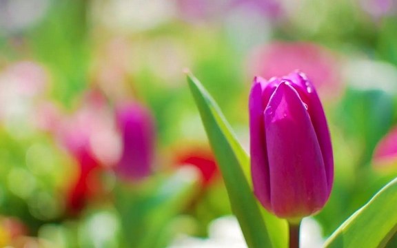 1620264566408938.jpg 76.jpg