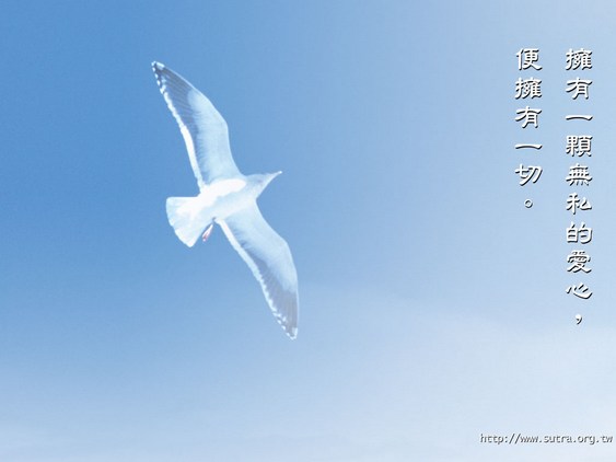 1620265818121564.jpg 25.jpg