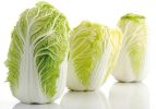 百蔬之首&mdash;&mdash;白菜