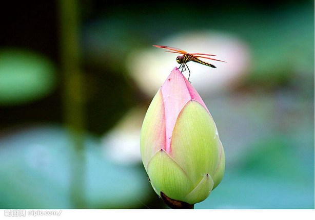 1620377472885227.jpg 16.jpg