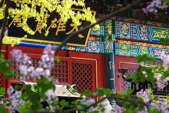 1620378336417877.jpg 7.jpg