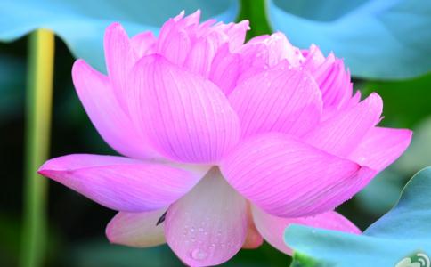 1620378405197492.jpg 9.jpg