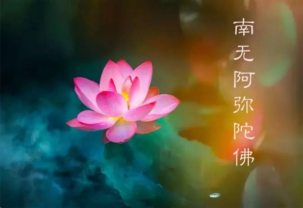 1620378934182939.jpg 23.jpg