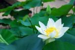 造的罪业太深重了，阿弥陀佛能要我吗