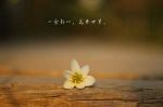 法名太多用哪个合适