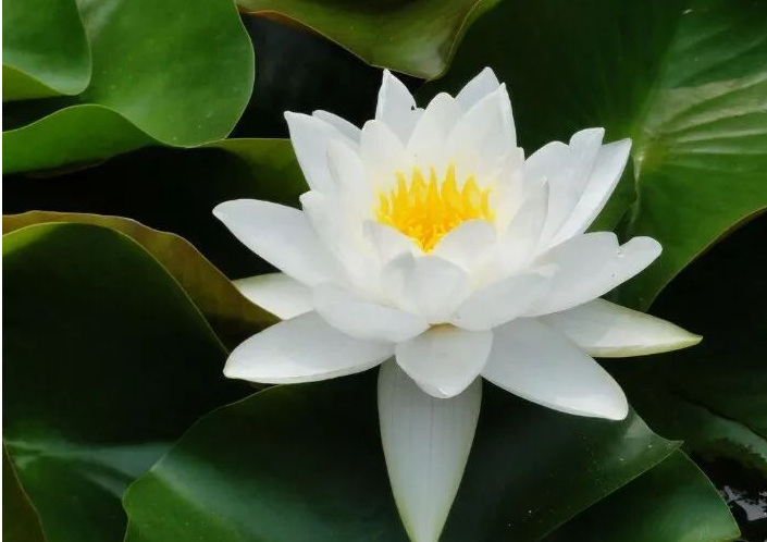 1620718762218684.png 微信图片_20210511101701.png