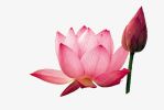观音菩萨诞辰