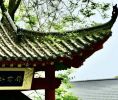 道炜法师：佛法入心的窍诀
