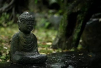 梵 语
