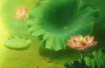 藏传佛教和汉传佛教的不同