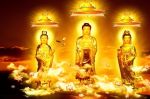 宗性法师：佛教的生命主张&mdash;&mdash;做自己的主人