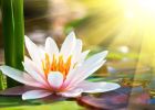 打七