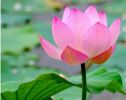 不 要轻视任何一人