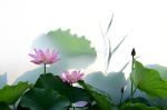 言语道断是什么意思