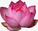 传印长老答：念观音菩萨,很有感应,怎么感应呢?