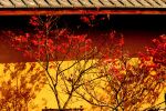 人死后的去向由什么来决定？