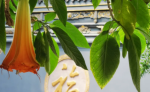 佛学的本质是什么，看完恍然大悟