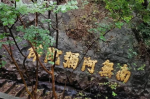 你可知生病也是一场修行？