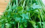 佛教徒究竟能不能吃&ldquo;香菜&rdquo;？