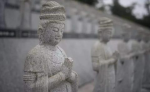  放开烦恼