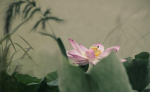只贵子眼正，不说子行履