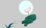 如何理解&ldquo;明心见性&rdquo;？