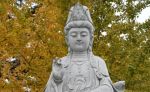 受菩萨戒有什么好处？受戒的好处