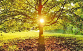 普庵咒：《禅门日诵》庄严版