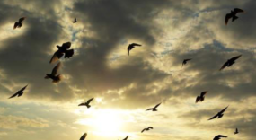 既然有求必应，为啥我却求而不得？