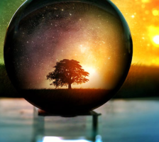 诞生我们世界和身体的根源&mdash;&mdash;无明