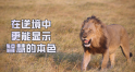 师父亲身体验：诵楞严咒后的神奇变化