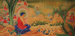 修净土念佛人不念经咒等。影响往生极乐吗？