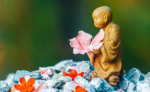 在机会中发展与成长