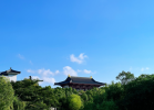 佛陀的智慧