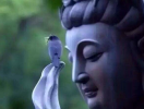 鬼神护法之事