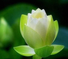 智者操控命运